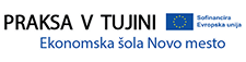 Praksa v tujini